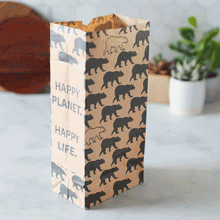 Load image into Gallery viewer, Lunchskins recyclable paper lunch sacs, view 3