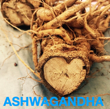 Load image into Gallery viewer, STAY SANE