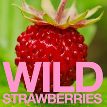 Load image into Gallery viewer, BIG ORGASM