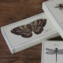Load image into Gallery viewer, Matches - Insect - Butterfly
