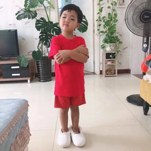 Load image into Gallery viewer, Wool Winter Slippers for Men & Women