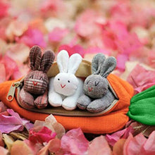 Load image into Gallery viewer, Easter 2024 Easter Bunny Unzip the rabbit doll toy:3 bunnies in carrot purse