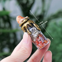 Load image into Gallery viewer, Natural Crystal Gemstone Wishing Bottle - Energy Decor & Gift
