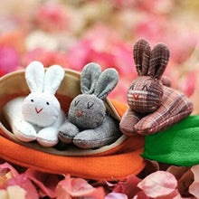 Load image into Gallery viewer, Easter 2024 Easter Bunny Unzip the rabbit doll toy:3 bunnies in carrot purse