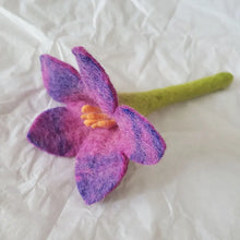 Load image into Gallery viewer, 717008012-5