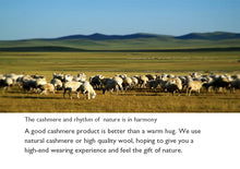 Load image into Gallery viewer, 100% Cashmere Fingerless Gloves