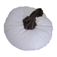 Load image into Gallery viewer, 46044647555298|46044647588066|46044648079586