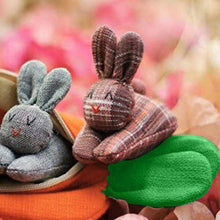 Load image into Gallery viewer, Easter 2024 Easter Bunny Unzip the rabbit doll toy:3 bunnies in carrot purse