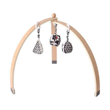 Load image into Gallery viewer, 556845925-2