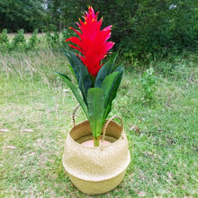 Load image into Gallery viewer, Seaweed Wicker Basket Rattan Hanging Flowerpot  Dirty Clothes    Storage    WF1015