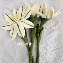 Load image into Gallery viewer, 977314887-5