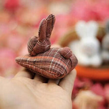 Load image into Gallery viewer, Easter 2024 Easter Bunny Unzip the rabbit doll toy:3 bunnies in carrot purse