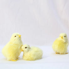 Load image into Gallery viewer, Realistic Chick Decoration Animal Doll Simulation Chick for Children Cognition Chicken Model Sound Soft Plush Toy Easter Gift