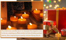 Load image into Gallery viewer, Natural Beeswax Smokeless Tea Light Candles - 12/24/48 Pcs