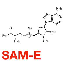 Load image into Gallery viewer, STAY SANE