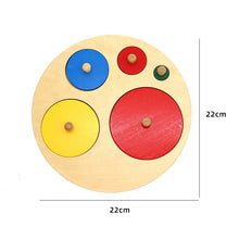 Load image into Gallery viewer, Montessori Toddler Assorted Peg Shape Peg Puzzles
