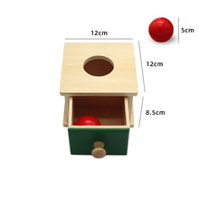 Load image into Gallery viewer, Montessori Toddler Assorted Peg Shape Peg Puzzles
