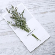 Load image into Gallery viewer, 10 Greeting Cards with Dried Glyphosilia Flowers