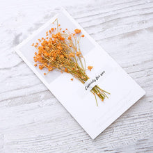 Load image into Gallery viewer, 10 Greeting Cards with Dried Glyphosilia Flowers