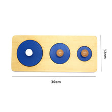 Load image into Gallery viewer, Montessori Toddler Assorted Peg Shape Peg Puzzles