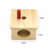 Load image into Gallery viewer, Montessori Toddler Assorted Peg Shape Peg Puzzles
