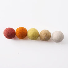 Load image into Gallery viewer, Colored Wool Felt Balls