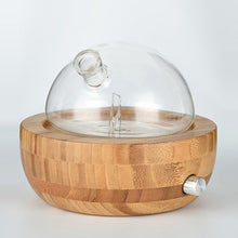 Load image into Gallery viewer, Waterless Nebulizing Essential Oil Diffuser with LED lights for Home, Office, and Yoga