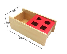 Load image into Gallery viewer, Montessori Toddler Assorted Peg Shape Peg Puzzles