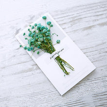 Load image into Gallery viewer, 10 Greeting Cards with Dried Glyphosilia Flowers