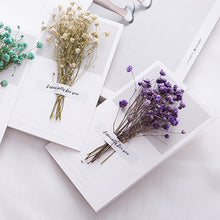 Load image into Gallery viewer, 10 Greeting Cards with Dried Glyphosilia Flowers
