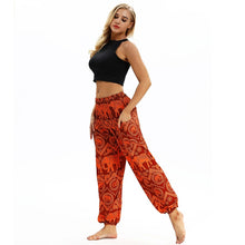 Load image into Gallery viewer, Funky Harem Pants