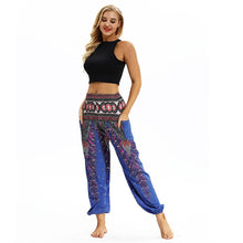 Load image into Gallery viewer, Funky Harem Pants
