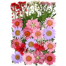 Load image into Gallery viewer, 1Bag Dried Flowers Pressed Flowers Stickers for DIY Phone Case Epoxy Resin Filling Pendant Jewelry Making Crafts Nail Art Decor
