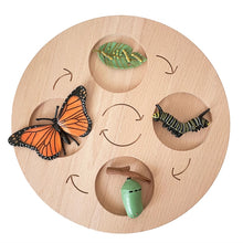 Load image into Gallery viewer, Montessori Animal and Plant Life Cycle Board Set for Kids