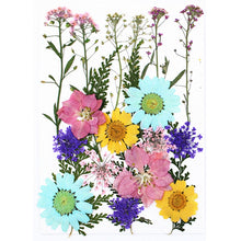 Load image into Gallery viewer, 1Bag Dried Flowers Pressed Flowers Stickers for DIY Phone Case Epoxy Resin Filling Pendant Jewelry Making Crafts Nail Art Decor