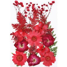 Load image into Gallery viewer, 1Bag Dried Flowers Pressed Flowers Stickers for DIY Phone Case Epoxy Resin Filling Pendant Jewelry Making Crafts Nail Art Decor