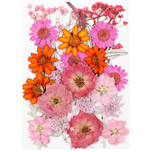 Load image into Gallery viewer, 1Bag Dried Flowers Pressed Flowers Stickers for DIY Phone Case Epoxy Resin Filling Pendant Jewelry Making Crafts Nail Art Decor