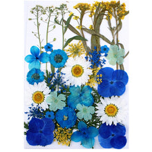 Load image into Gallery viewer, 1Bag Dried Flowers Pressed Flowers Stickers for DIY Phone Case Epoxy Resin Filling Pendant Jewelry Making Crafts Nail Art Decor