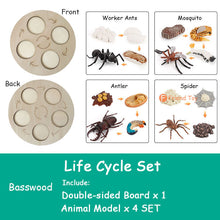 Load image into Gallery viewer, Montessori Animal and Plant Life Cycle Board Set for Kids