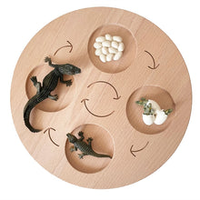 Load image into Gallery viewer, Montessori Animal and Plant Life Cycle Board Set for Kids