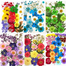 Load image into Gallery viewer, 1Bag Dried Flowers Pressed Flowers Stickers for DIY Phone Case Epoxy Resin Filling Pendant Jewelry Making Crafts Nail Art Decor