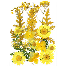 Load image into Gallery viewer, 1Bag Dried Flowers Pressed Flowers Stickers for DIY Phone Case Epoxy Resin Filling Pendant Jewelry Making Crafts Nail Art Decor