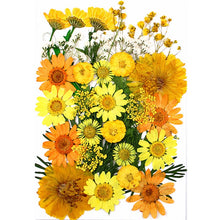 Load image into Gallery viewer, 1Bag Dried Flowers Pressed Flowers Stickers for DIY Phone Case Epoxy Resin Filling Pendant Jewelry Making Crafts Nail Art Decor