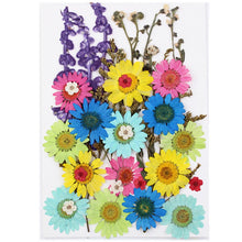Load image into Gallery viewer, 1Bag Dried Flowers Pressed Flowers Stickers for DIY Phone Case Epoxy Resin Filling Pendant Jewelry Making Crafts Nail Art Decor