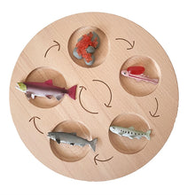 Load image into Gallery viewer, Montessori Animal and Plant Life Cycle Board Set for Kids