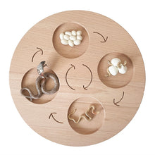 Load image into Gallery viewer, Montessori Animal and Plant Life Cycle Board Set for Kids