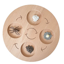 Load image into Gallery viewer, Montessori Animal and Plant Life Cycle Board Set for Kids