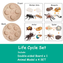 Load image into Gallery viewer, Montessori Animal and Plant Life Cycle Board Set for Kids