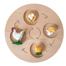 Load image into Gallery viewer, Montessori Animal and Plant Life Cycle Board Set for Kids