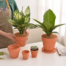 Load image into Gallery viewer, Colored Ceramic Flower Pot